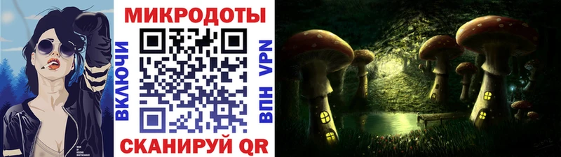 Галлюциногенные грибы Psilocybe Кудымкар