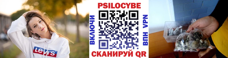 Псилоцибиновые грибы мухоморы  Кудымкар 