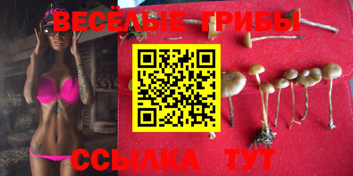 Псилоцибиновые грибы мицелий Кудымкар
