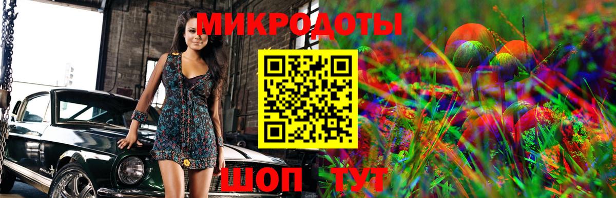 Галлюциногенные грибы мицелий  как найти закладки  Кудымкар  Галлюциногенные грибы Psilocybe 