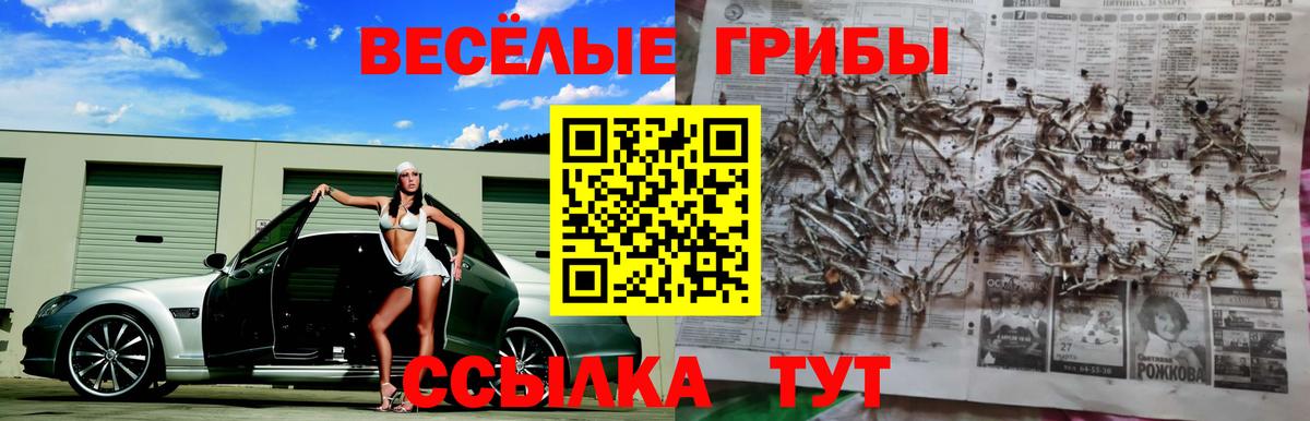 Псилоцибиновые грибы мицелий  купить закладку  Кудымкар  Вход с VPN 
